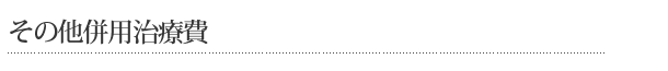 その他併用治療費